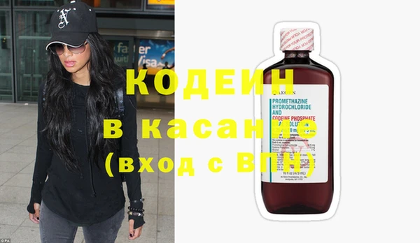 тгк Гусев