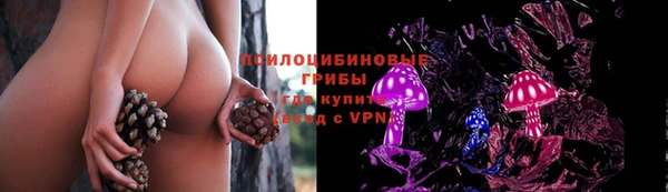 твердый Дмитриев