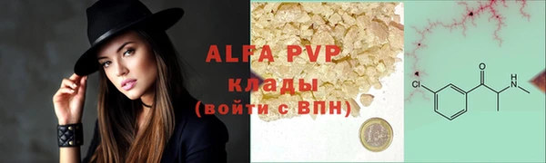 тгк Гусев