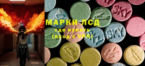 гашик Дмитров