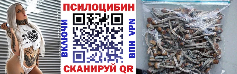Купить  Белогорск  Псилоцибиновые грибы мицелий 