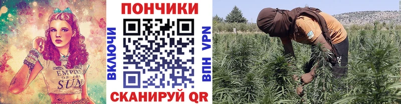 Бошки марихуана ГИДРОПОН  Купить где  Белогорск 